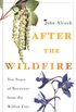 After the Wildfire: Ten Years of Recovery from the Willow Fire (English Edition)