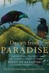 Drawn from Paradise: The Natural History, Art and Discovery of the Birds of Paradise with Rare Archival Art (English Edition)