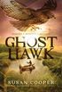 Ghost Hawk (English Edition)