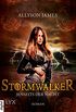 Stormwalker - Jenseits der Nacht (Stormwalker-Reihe 1) (German Edition)