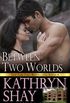 Between Two Worlds (Bayview Heights Book 4) (English Edition)
