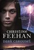 Dark Carousel (Dark Series Book 30) (English Edition)