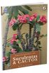 Enciclopdia de Suculentas e Cactos - Euphorbia ingens at Gasteria nitida