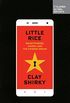 Little Rice: Smartphones, Xiaomi, and the Chinese Dream (English Edition)