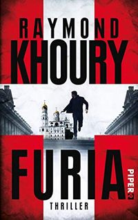 Furia (Sean Reilly): Thriller (German Edition)