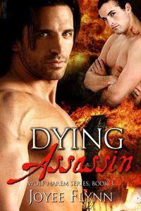 Dying Assassin
