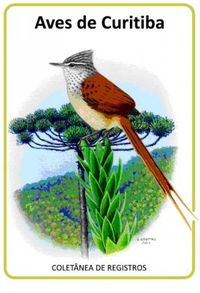 Aves de Curitiba