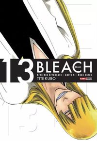 Bleach Remix #13