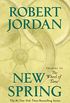New Spring: The Novel (Wheel of Time Other Book 0) (English Edition)