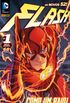 Flash #01