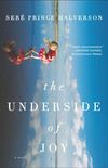 The Underside of Joy: A Novel