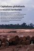 Capitalismo globalizado e recursos territoriais: fronteiras da acumulao no Brasil contemporneo