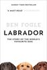 Labrador: The Story of the Worlds Favourite Dog (English Edition)