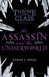 The Assassin and The Underworld