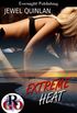 Extreme Heat (Romance on the Go) (English Edition)