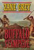 Buffalo Stampede: A Western Story (English Edition)