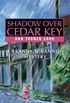 Shadow over Cedar Key: A Brandy OBannon Mystery (English Edition)