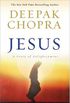 Jesus: A Story of Enlightenment (Enlightenment Collection Book 2) (English Edition)