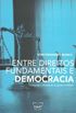 Entre direitos fundamentais e democracia