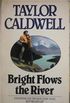 Bright Flows the River : A Novel