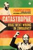 Catastrophe: What Went Wrong in Zimbabwe? (English Edition)
