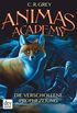 Animas Academy  Die verschollene Prophezeiung (German Edition)