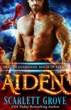 Aiden: House of Flames