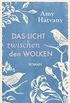 Das Licht zwischen den Wolken: Roman (German Edition)