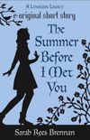 The Summer Before I Met You 