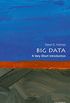Big Data: A Very Short Introduction (Very Short Introductions) (English Edition)