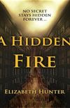 A Hidden Fire: Elemental Mysteries 1