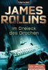 Im Dreieck des Drachen: Roman (German Edition)