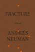 Fracture: A Novel (English Edition)