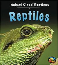 Reptiles (Animal Classifications)