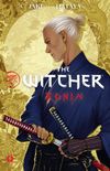 The Witcher Ronin