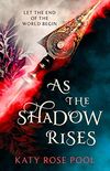 As the Shadow Rises: Book Two of The Age of Darkness (English Edition)