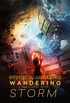 Wandering Storm: Reunification Novel, Book 3 (English Edition)