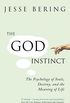 The God Instinct: The Psychology of Souls, Destiny and the Meaning of Life (English Edition)