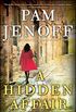 A Hidden Affair: A Novel (English Edition)