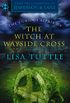 The Curious Affair of the Witch at Wayside Cross: (From the Casebooks of Jesperson & Lane) (English Edition)