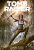 Tomb Raider Omnibus - Volume 2