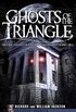 Ghosts of the Triangle: Historic Haunts of Raleigh, Durham and Chapel Hill (Haunted America) (English Edition)
