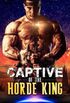 Captive Of The Horde King