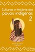 Culturas e histria dos povos indgenas 2 (Atena Editora
