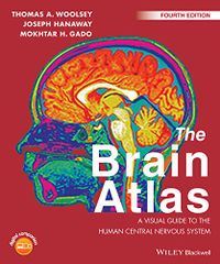 The Brain Atlas: A Visual Guide to the Human Central Nervous System (English Edition)