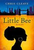 Little Bee: Roman