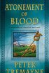Atonement of Blood: A Mystery of Ancient Ireland (A Sister Fidelma Mystery Book 24) (English Edition)