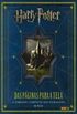 Harry Potter: Das Páginas Para a Tela