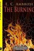 The Burning: A Tale of The Dark Apostle (English Edition)