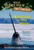 Narwhals and Other Whales: A nonfiction companion to Magic Tree House #33: Narwhal on a Sunny Night (Magic Tree House: Fact Trekker Book 42) (English Edition)